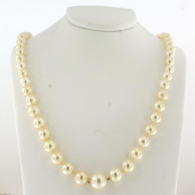 cb20250193-1-2000x2000