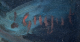 00274619_2