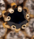 00274298_2