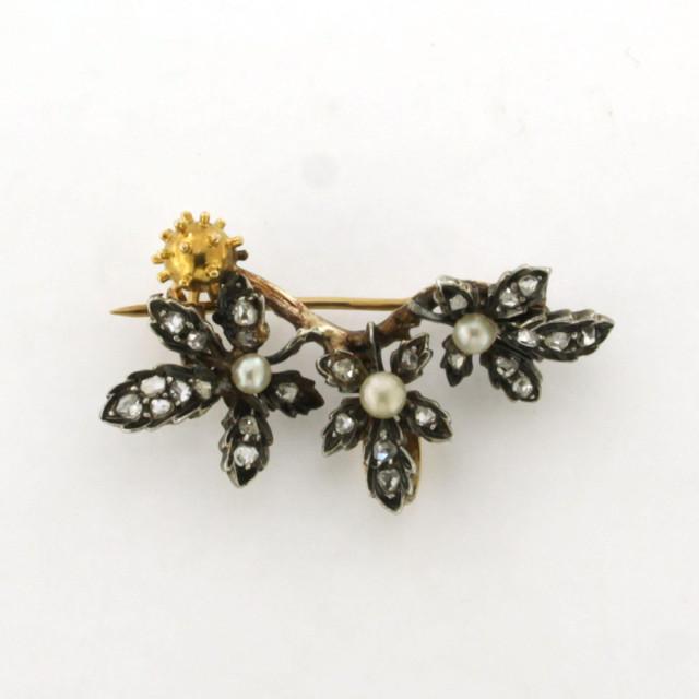 CB20250463-1-2000x2000