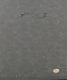 00289500_6