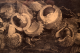 00263416_2