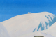00275504_5