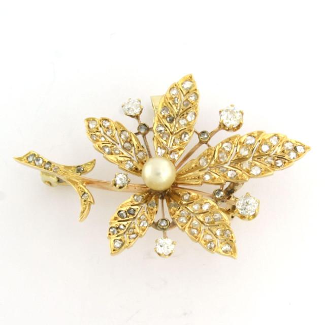 cb20241510-1-2000x2000