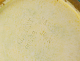00272545_5