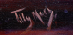 00266805_2