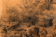 00244594_5