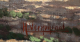 00257387_2