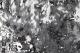 00282646_5