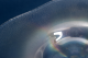00273231_3