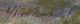 00280978_2