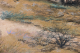 00290371_5