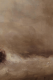 00290372_5