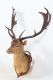 00266690