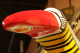 00247329_2