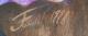 00289812_2