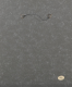 00289498_6