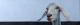 00277884