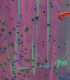 00282583_2