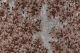 00282647_4