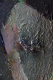 00275493_6
