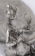 00267173_6