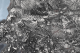 00282645_6